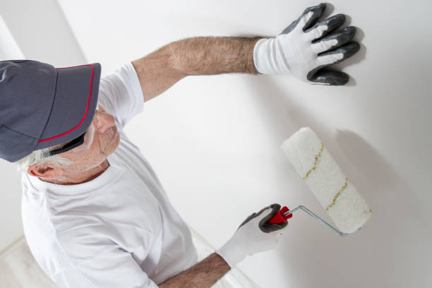 Best Mold Removal for HVAC Installations  in Amery, WI