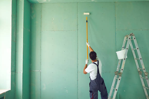 Best Industrial Mold Remediation  in Amery, WI