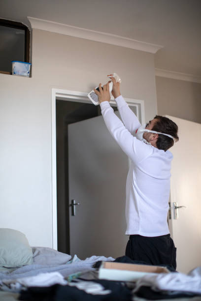 Best Black Mold Removal  in Amery, WI