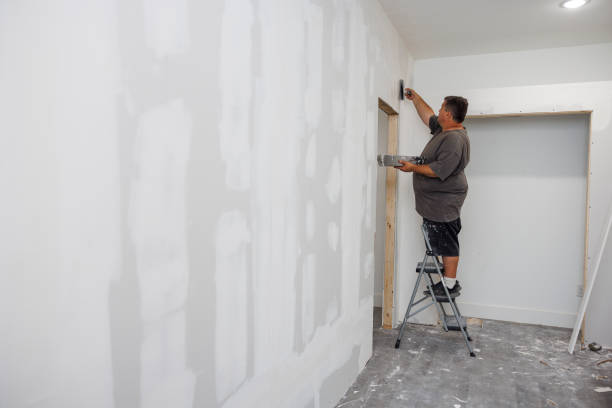 Best Mold Odor Removal Services  in Amery, WI