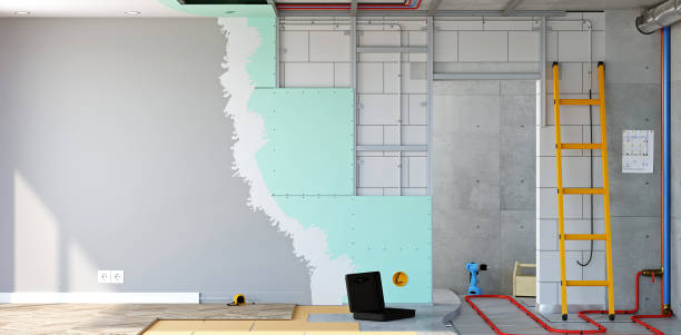 Best HVAC Mold Inspection and Cleaning  in Amery, WI
