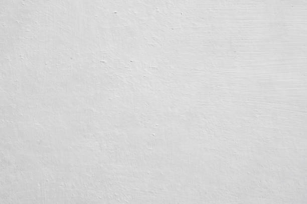 Environmental Consulting for Mold Prevention in Amery, WI