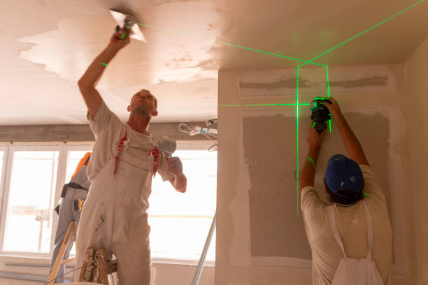 Best Air Quality Testing for Mold Spores  in Amery, WI