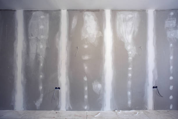 Best Comprehensive Air Testing for Mold Contaminants  in Amery, WI